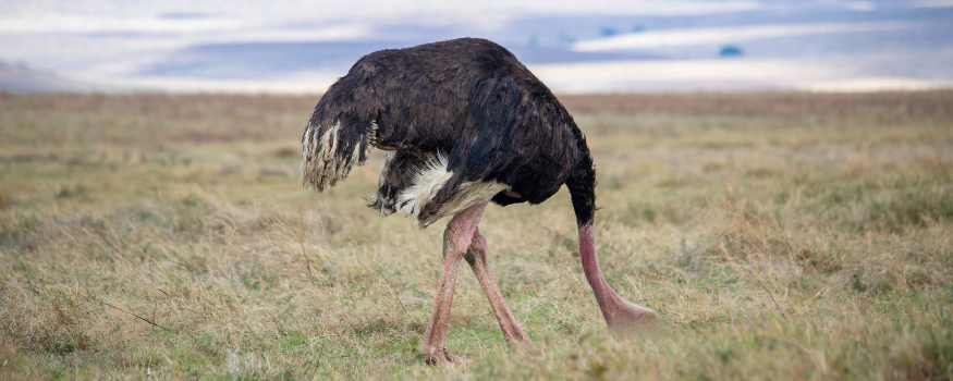 orgaMAX_Blog_Headerbild_Stundung